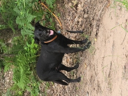 Fundraising Page Image