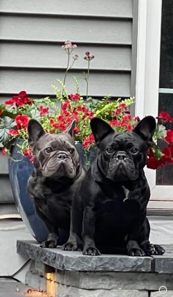 Fundraising Page Image