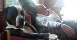 Fundraising Page Image