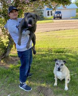 Fundraising Page Image