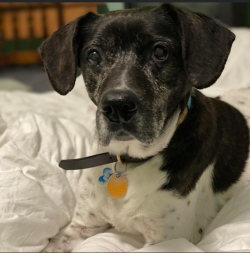 Fundraising Page Image